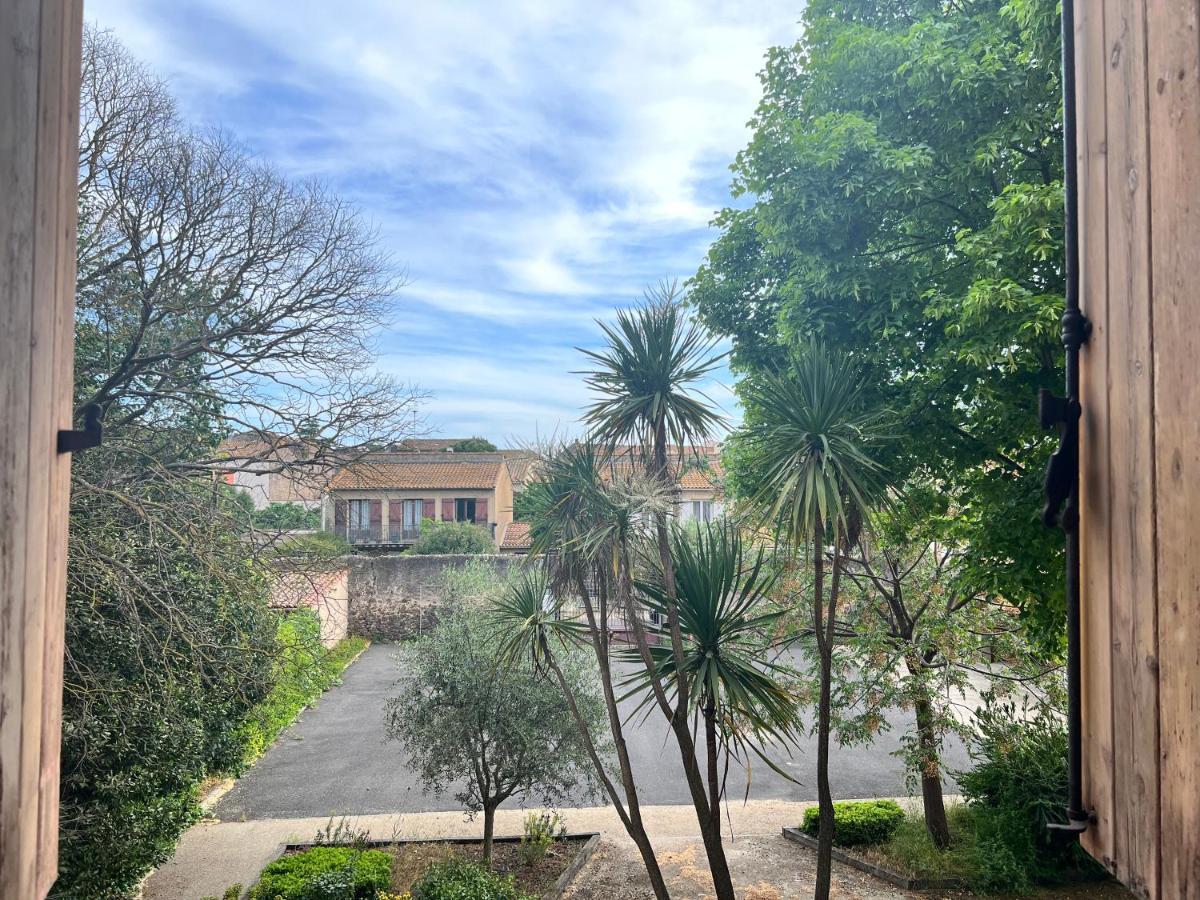 Cote Jardin Est Un Spacieux Et Lumineux T3, Entierement Renove, A 2 Pas De L'Herault Et A 10Min Du Bord De Mer Proche Du Centre Historique Et Du Fabuleux Chateau Laurens, Vous Apprecierez Le Calme De Sa Belle Terrasse Et La Vue Superbe Sur Le Jardin Agde Buitenkant foto